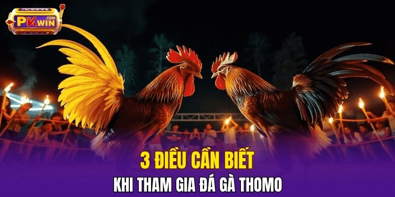 3 điều cần biết khi tham gia đá gà Thomo