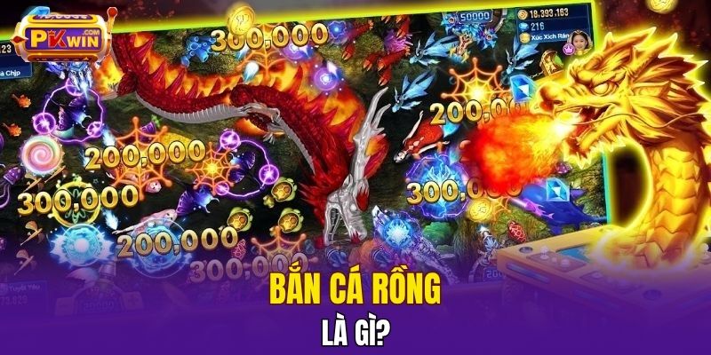 Bắn cá Rồng là gì? 