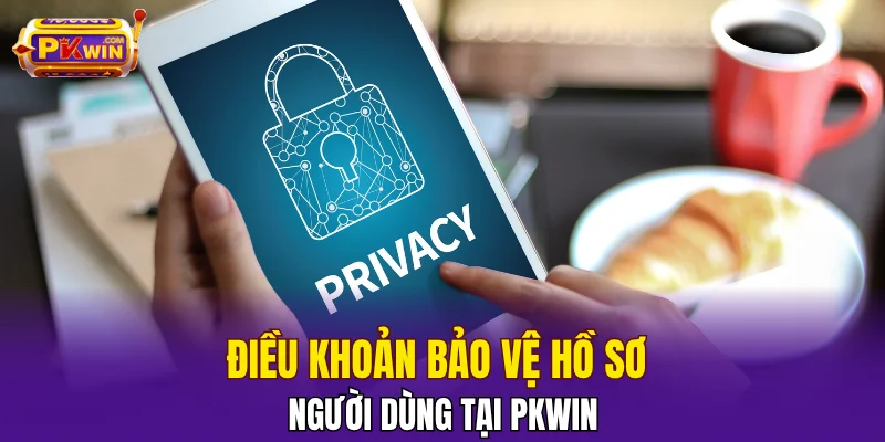 Điều khoản bảo vệ hồ sơ người dùng tại PKWIN