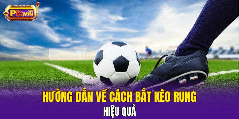 Hướng dẫn về cách bắt kèo rung hiệu quả